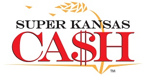 Mega Cash Flash Sale Promotion